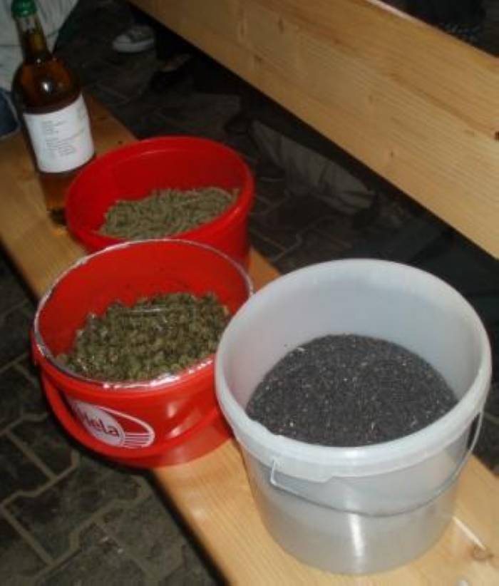 Aus Raps wird Öl und Futter.