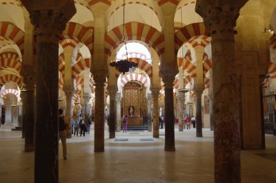 telle une forêt de palmiers telle une forêt de palmiers